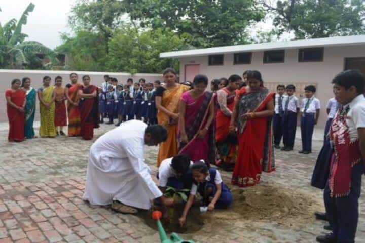 St Thereses School-Tree Plantation