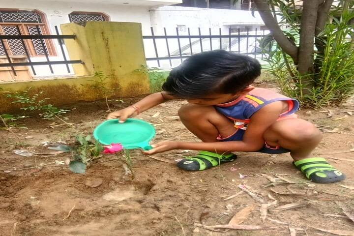 Gurukul Academy-Environment Day