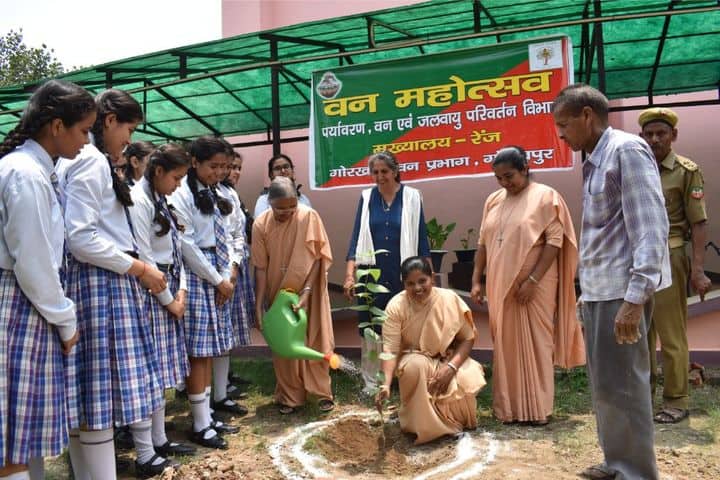 Carmel School-Tree Plantation