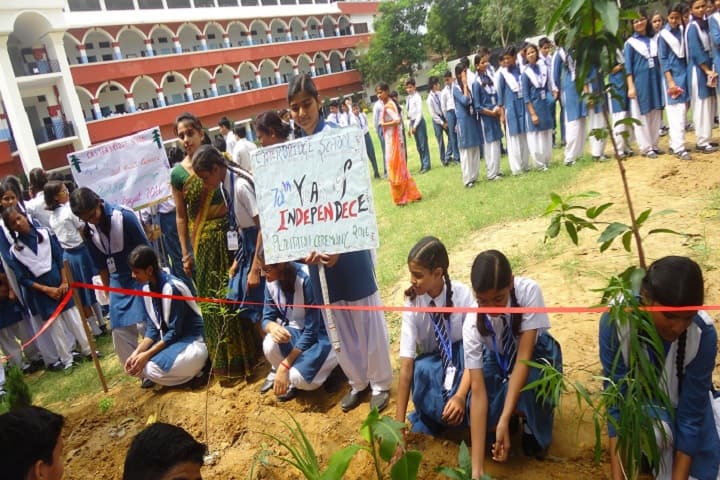 Casterbridge School-Plantation