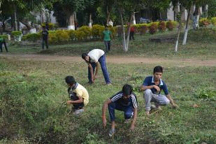 Jawahar Navodaya Vidyalaya-Go Green Campus