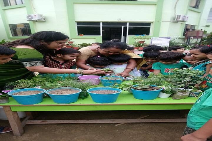 St XavierS Convent School-Trees Plantation