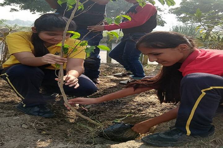 The Shriram Millennium School-Plantation