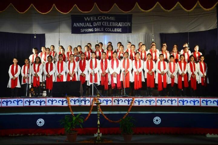 Spring Dale School-Annual Day