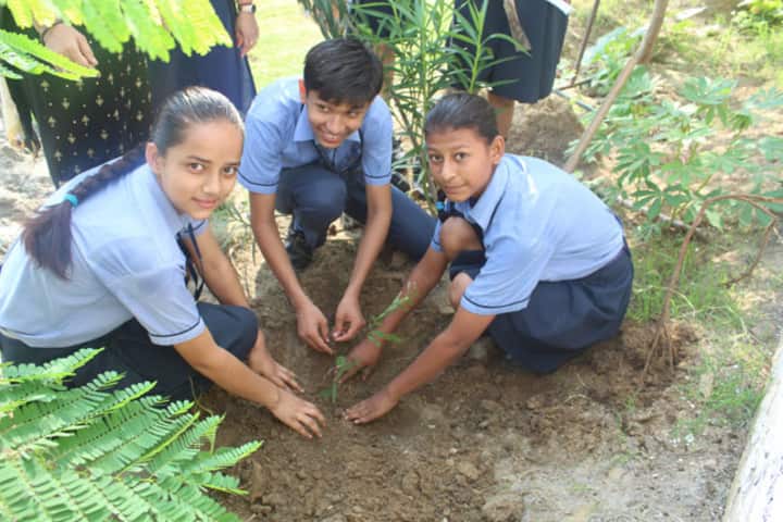 Jesus And Mary Convent School - Tree Planting