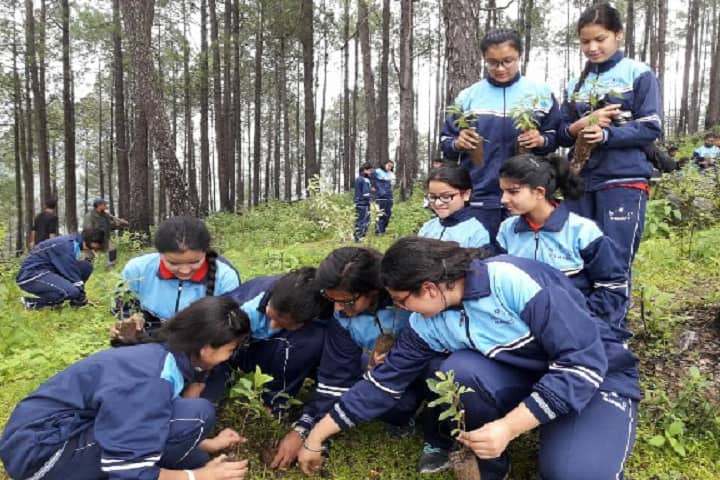 St Marys Convent College-Others plantation