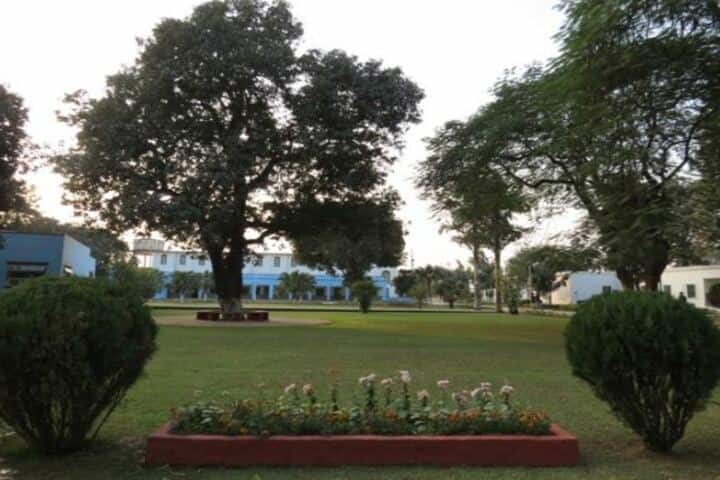 Seventh Day Adventist Inter College - Garden