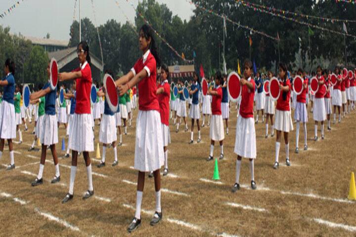 St Xaviers School-Activitty