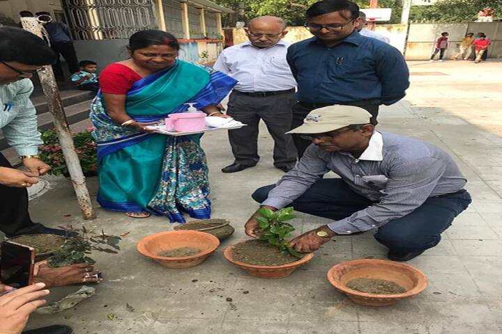 South Eastern Railway Mixed Higher Secondary School-Tree Plantation