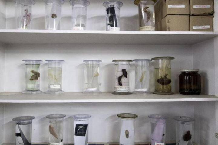 Rockvale Academy-Biology Lab