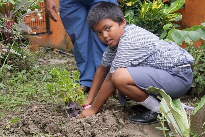 St Stephens School-Plantation