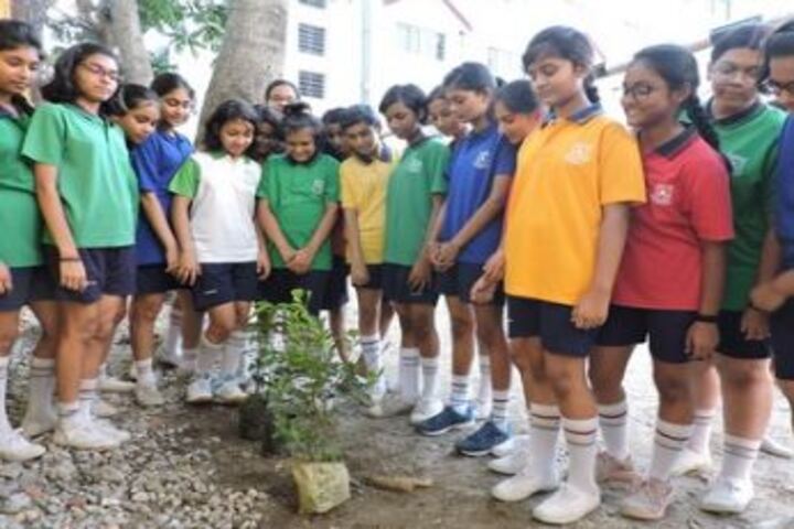 Sacred Heart School-Tree Plantation