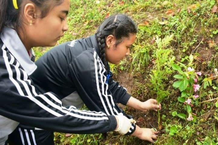 Gyanoday Niketan-Planting Tree