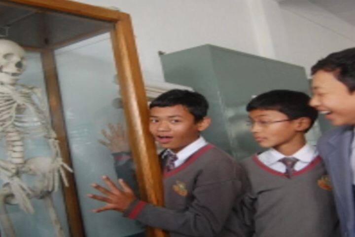 Mount Carmel School-Biology Lab