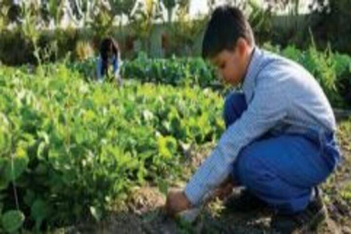 G E M S Akademia International School-Plantation