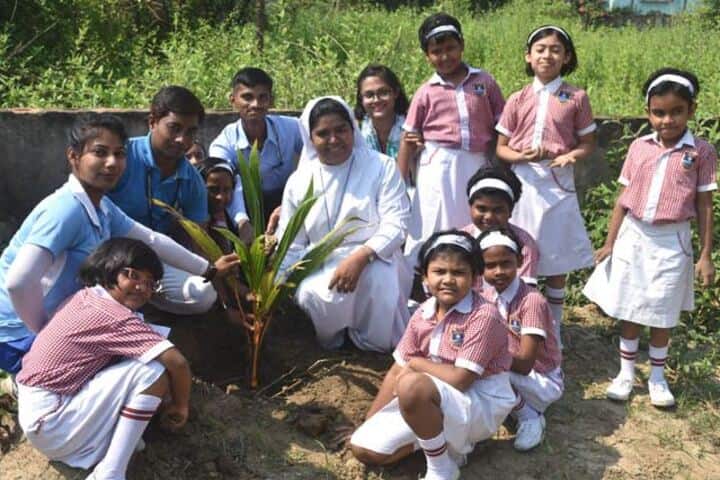 St JosephS School-Plantation"