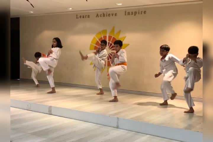 Aditya Birla World Academy - Karate Class