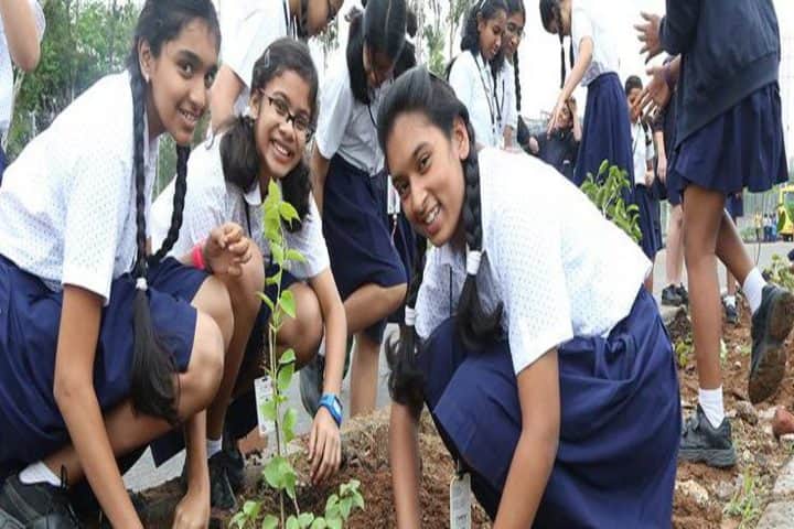 CHIREC International School-Tree Day