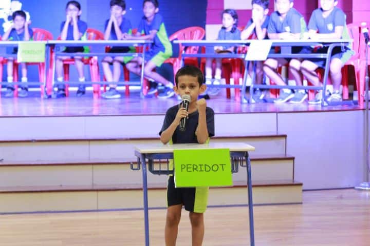 Don Bosco International School-Activity