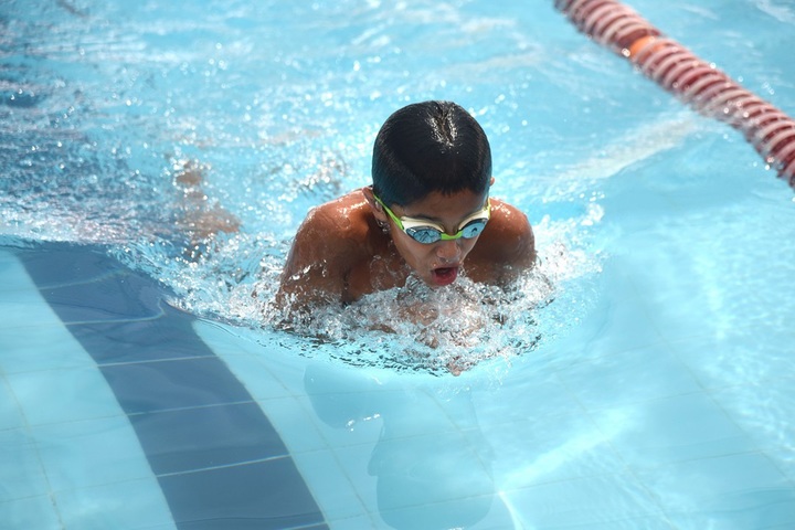  Ecole Mondiale World School - Swimming Pool