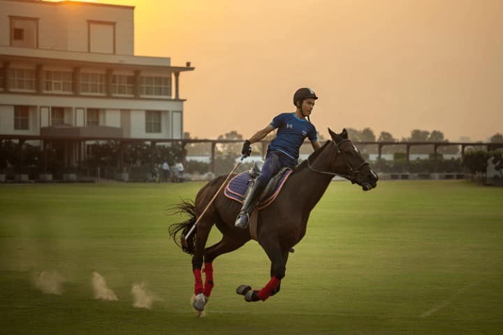 Vidsan Charterhouse horse riding