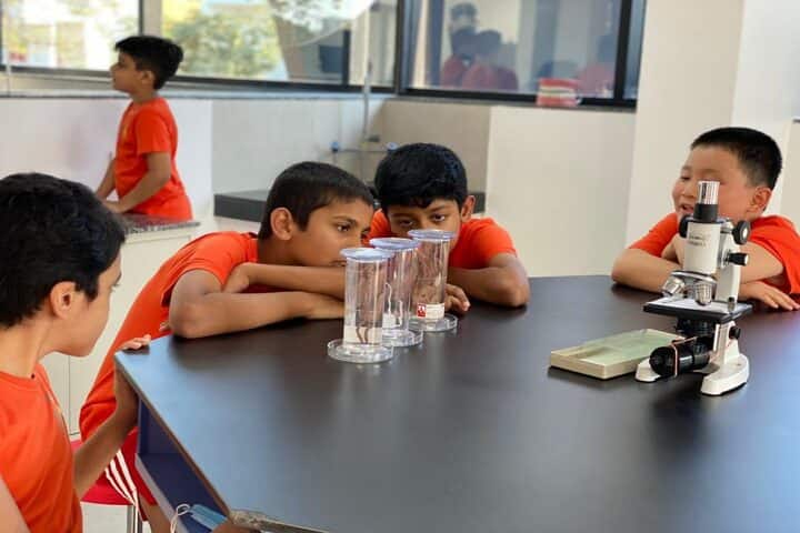aLphabet international school-Biology Lab