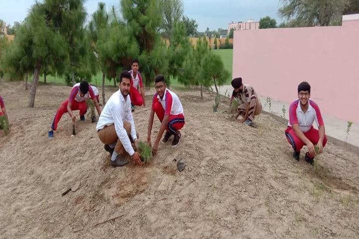 Saint MSG Glorious International School-Planting Tree