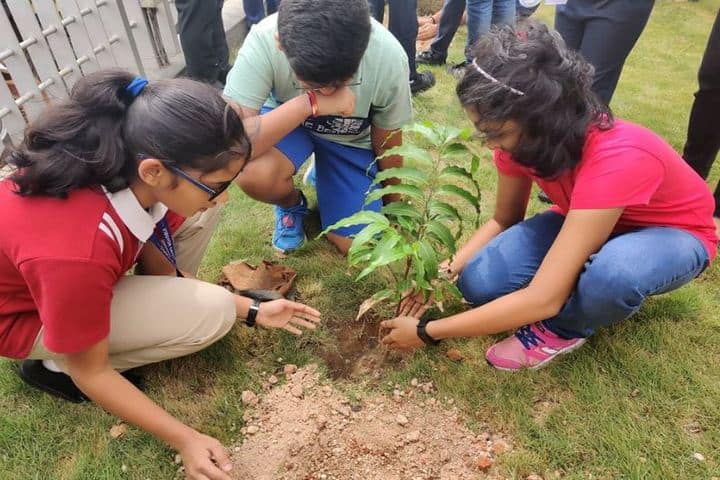 Vibgyor High School-Tree Plantation