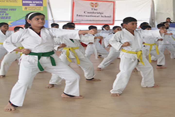 The Cambria International School-Karate