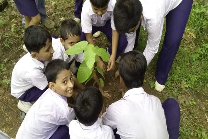 Bankura Zilla School-Plantation