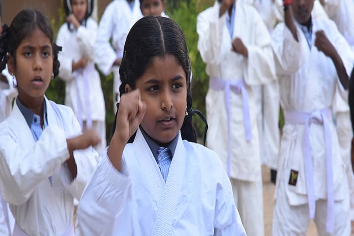 Dhanish Matriculation Higher Secondary School-Karate