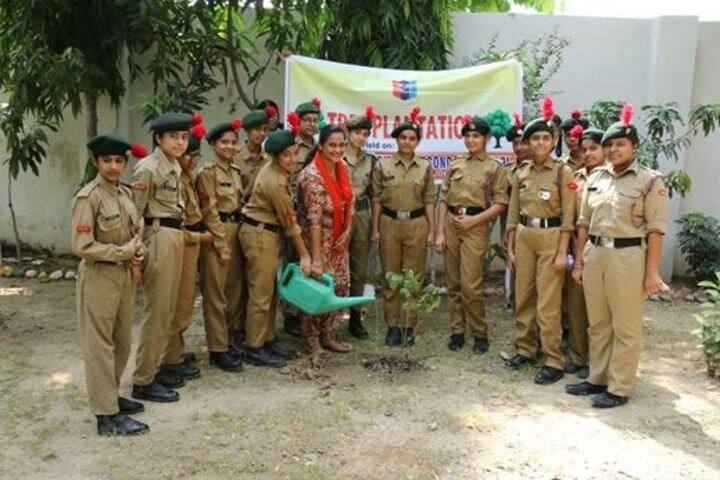 Rashtriya Sanskrit Model Senior Secondary School-Tree Plantation