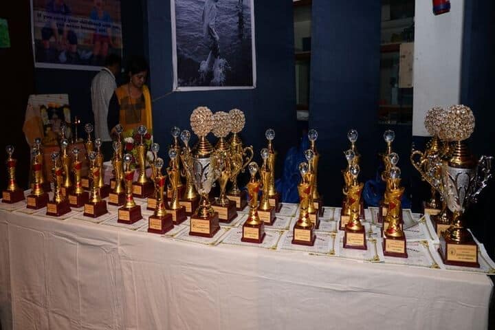 Saraswati Vidyalaya Union-Awards