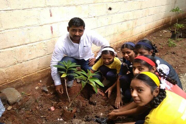 Wonderland English Medium School-Tree Plantation