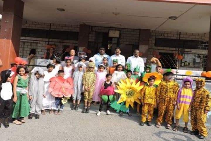New English School and Junior College-Fancy Dress