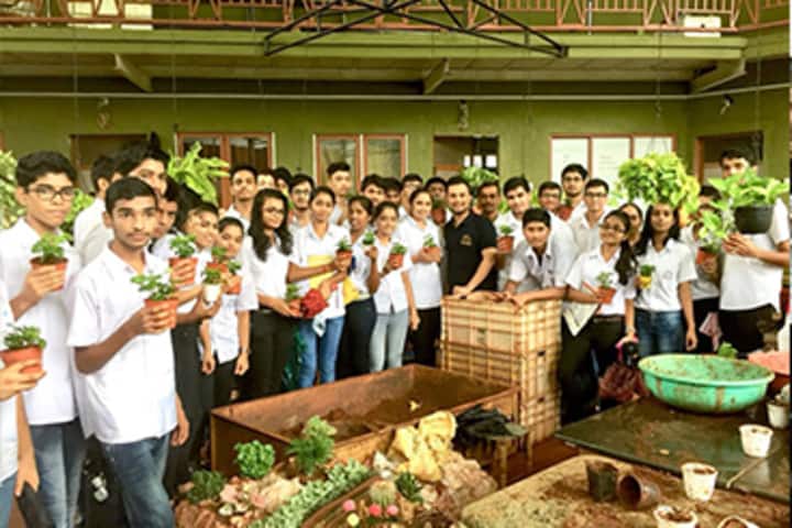Harmony International School-Plantation
