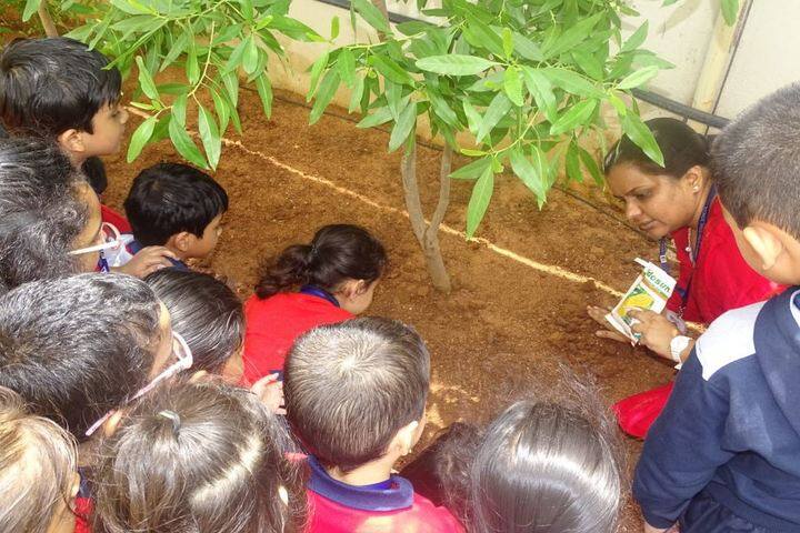 Meru International School-Plantation