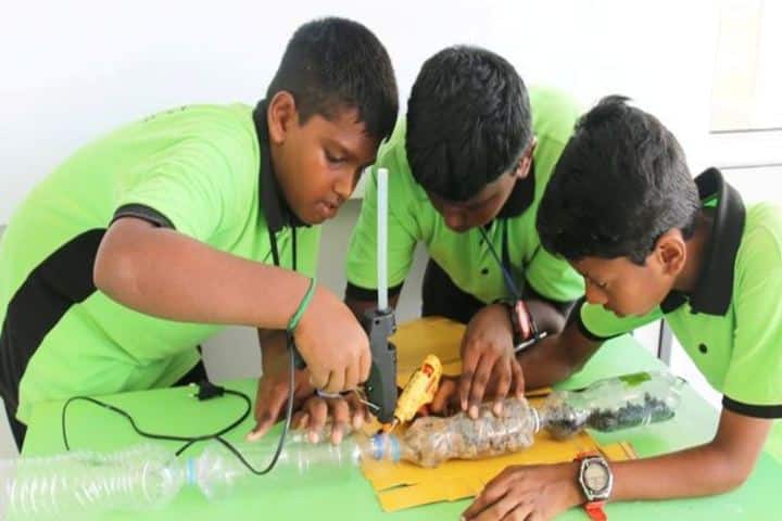 Trileaves International School-School Exhibition