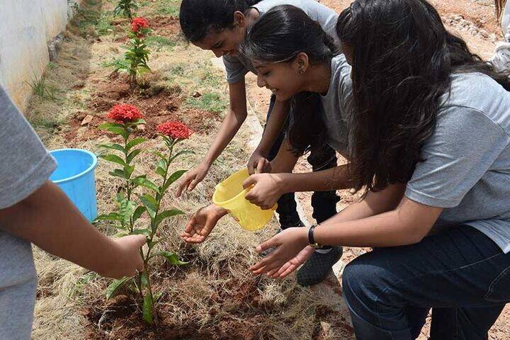 Elate International School-Tree Plantation
