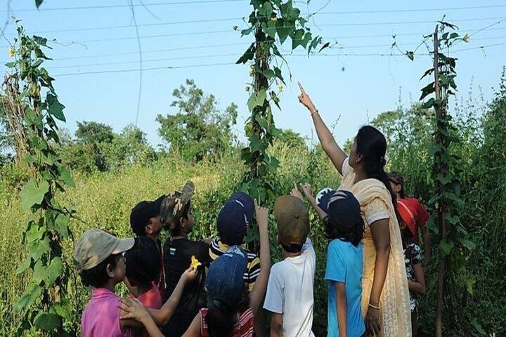 Gurukul the Day School-Botanical Garden