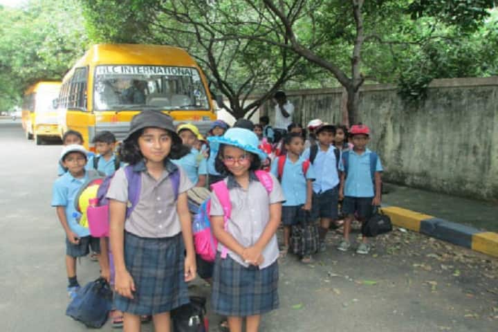 HLC International School-Bus