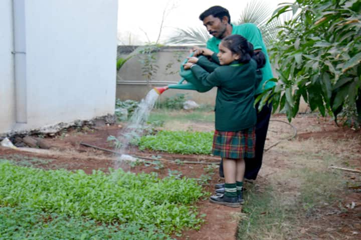 Ira Global School-Environment Activity