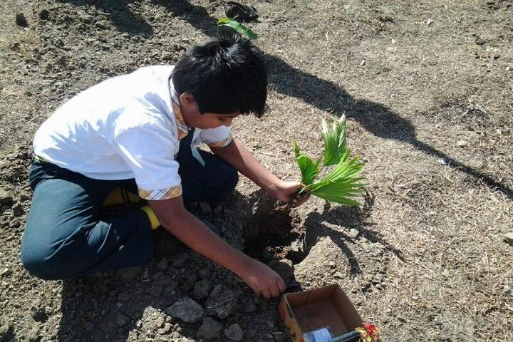KK Cambridge International School-Plantations
