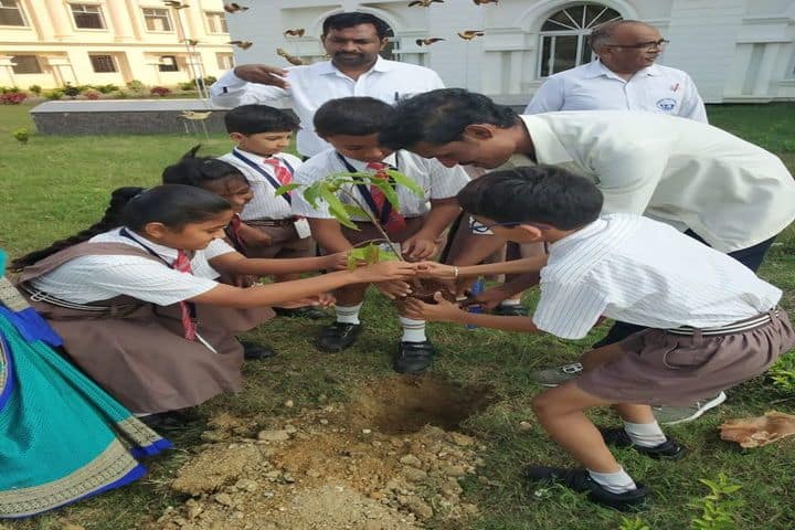 National Public School-Plantation