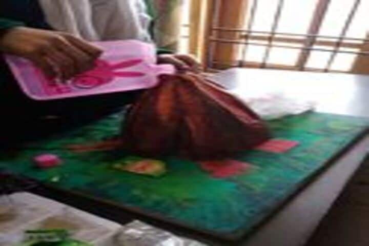Oasis Educational Institute-Project