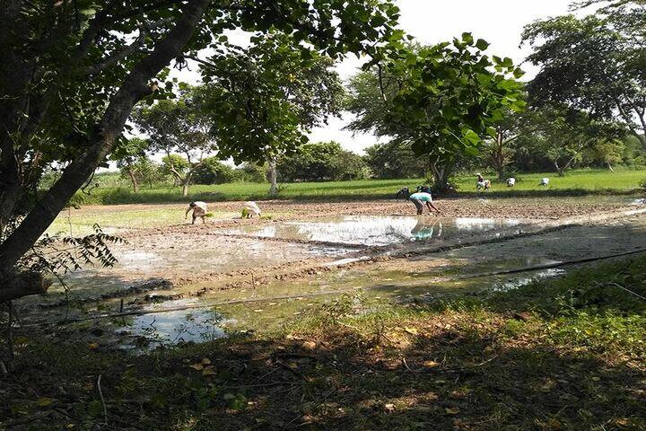 Pathashaala PCFL-KFI-Field Work