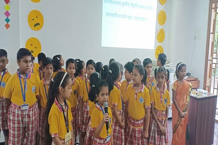 Seven Isles International School-Activity