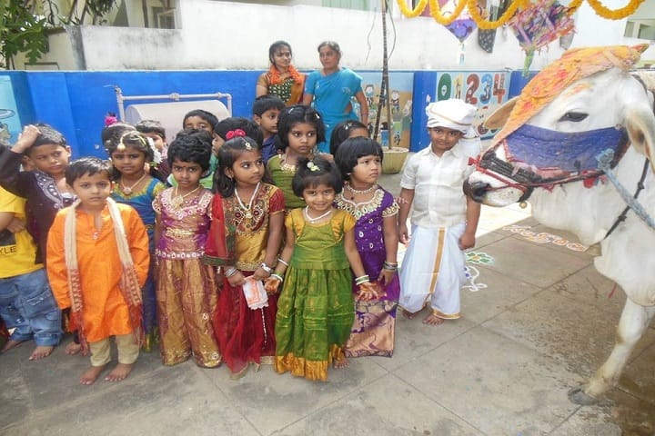 The Sun Smart Foundation International School- Festival Celebration