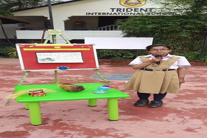 Trident International School- Story Telling Competition