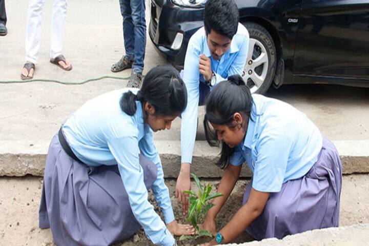 Assam Jatiya Bidyalay-Tree Plantation